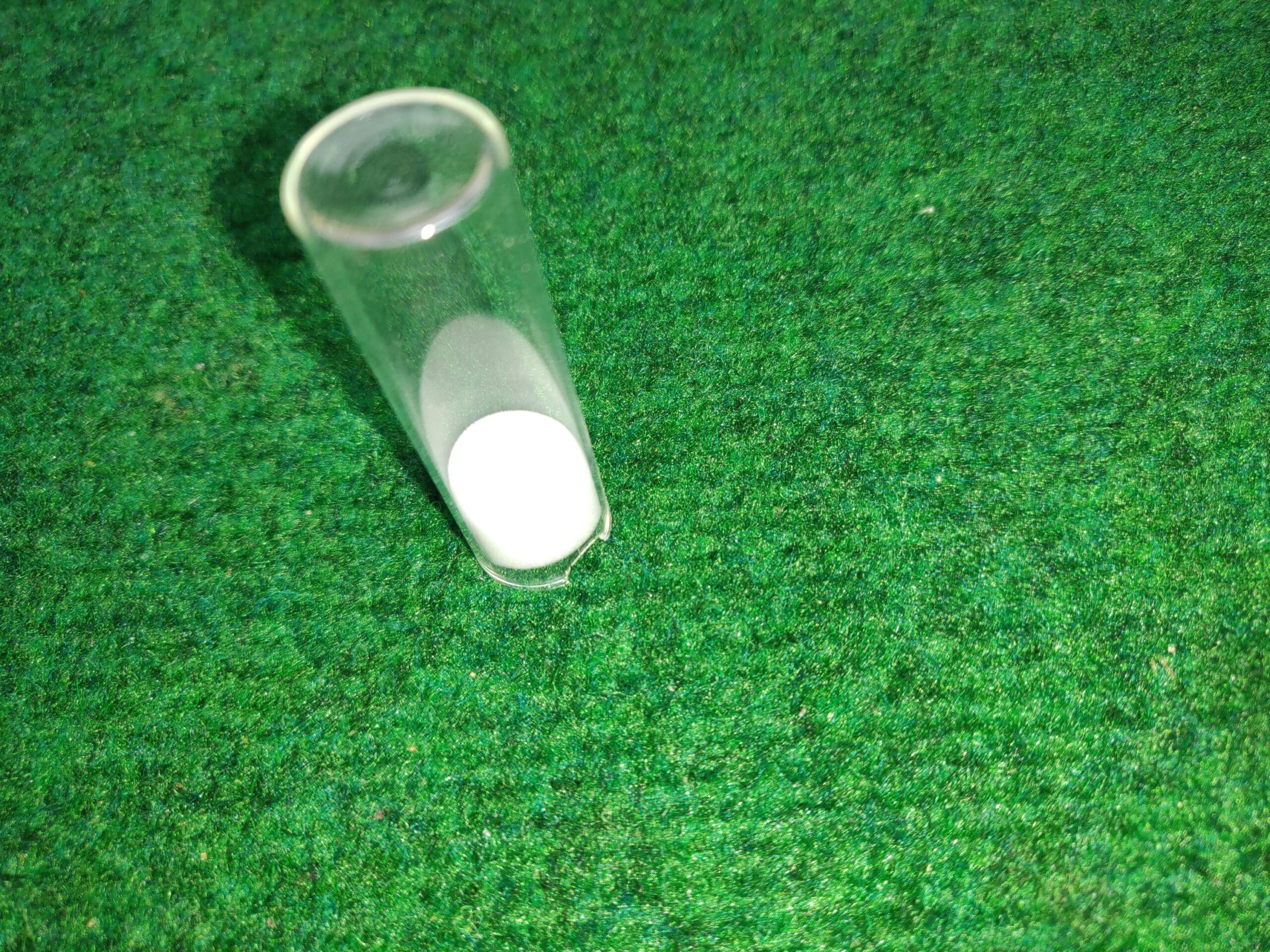 Abreuvoir en Verre avec Mousse Bio – Image 2