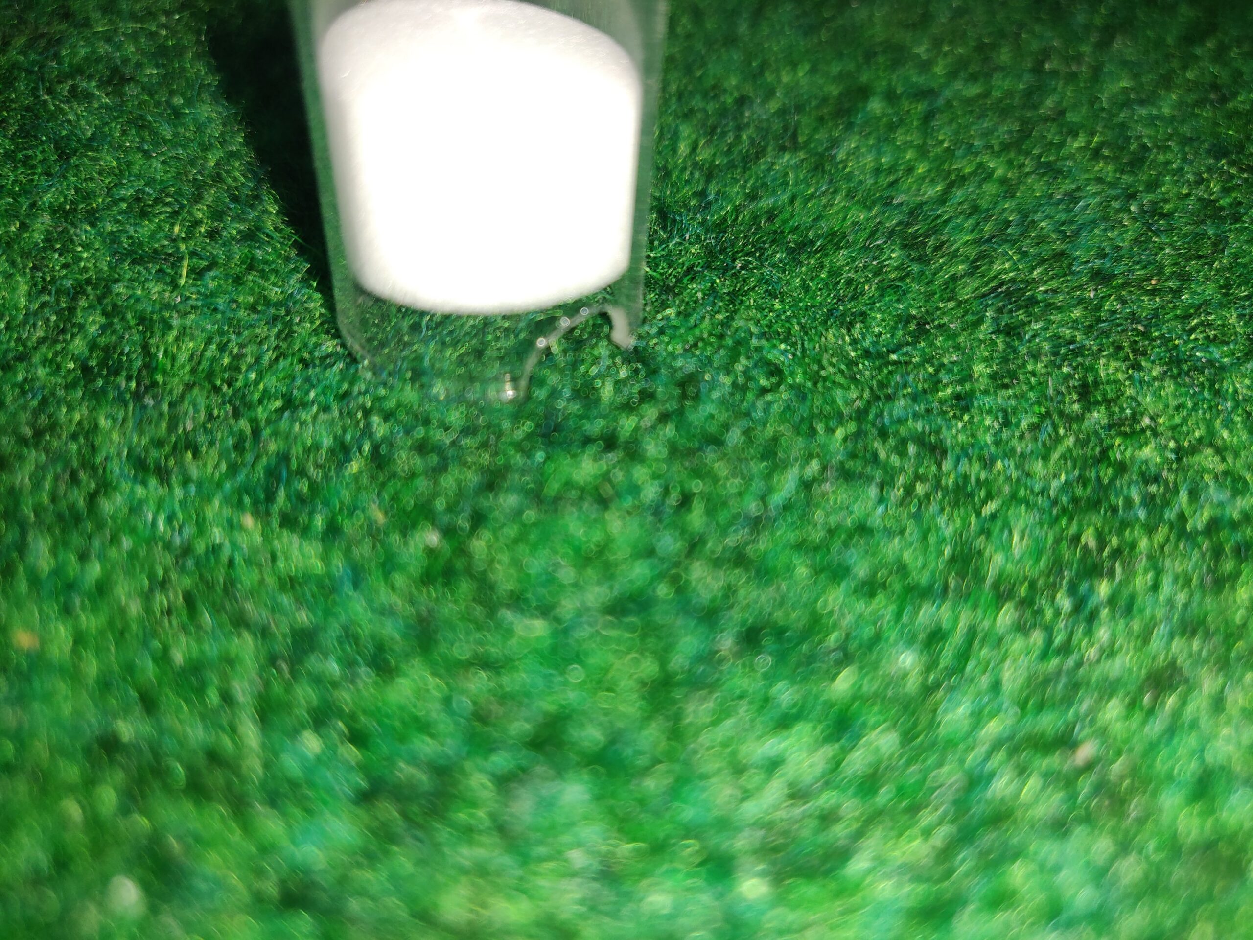 Abreuvoir en Verre avec Mousse Bio – Image 3